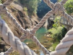 -广州白江湖森林公园