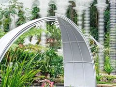 -深圳仙湖植物园
