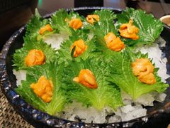 -初花·日本料理