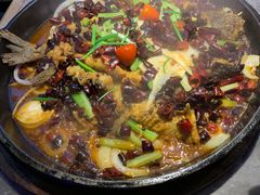 -老板恋上鱼(恒隆广场店)