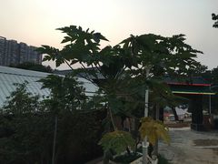 -玉和山庄农家菜