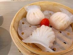 -茶港·点心·啫啫煲(王府井店)