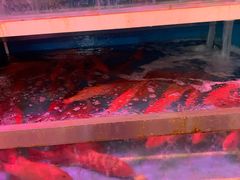 -江杨农产品批发市场