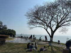 -黄金海岸环岛路
