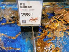 -盒马X会员店(王府井奥莱UP TOWN店)