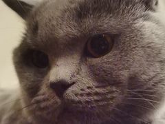 -RiceZone乐食尊纯米面包坊(望京店)