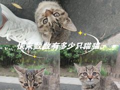 -迎泽公园