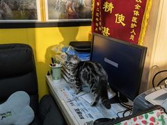 -瑞派·爱瑞可动物医院·口腔专科(广华新城分院)