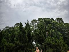 -南沙蒲洲花园