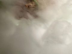 淀里寻虾-淀里船宴(裕华东路店)