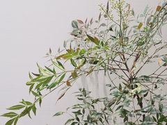 -杭州平安悦坊 PAFC LIVING