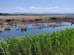 -野鸭湖国家湿地公园