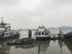 -鱼珠码头(轮渡站)