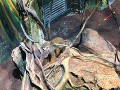 -华夏文旅西安度假区