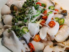 藤椒油浸黑鱼片-小吊梨汤·北京菜·烤鸭(双井乐成中心店)