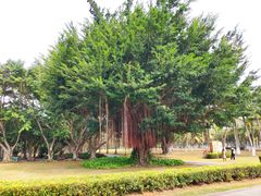 -万绿园