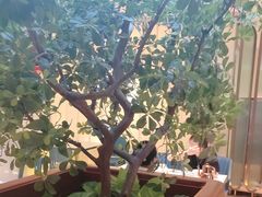 -悦海·家宴·冰花皮皮虾大锅贴(宝龙店)