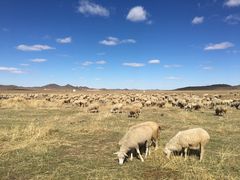 -塞罕坝国家级自然保护区