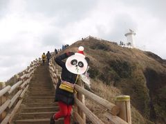 -涉地可支