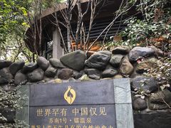-张家港金凤凰度假村温泉