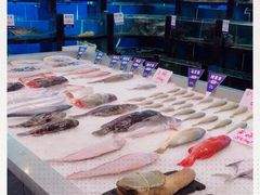 -莆鑫海鲜城(浏河店)