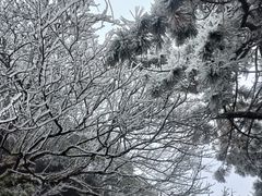 -南岳衡山风景名胜区-南岳大庙