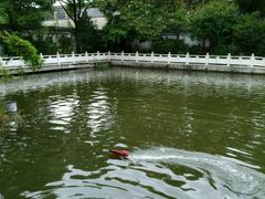 -龚家花园农家乐休闲别墅