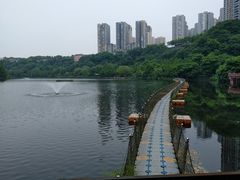 -重庆彩云湖湿地公园