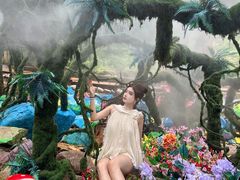 -洛阳白云山景区