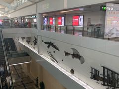 -厦门高崎国际机场-T3航站楼