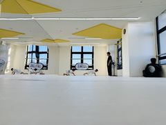 -勇气斑马·巴西柔术&跆拳道(浦东三林店)