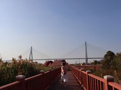 -芒洲湿地公园