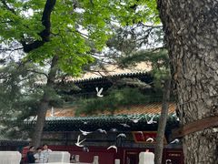-潭柘寺景区