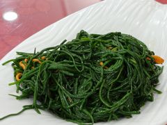 凉拌沙葱-内蒙古驻京办餐厅