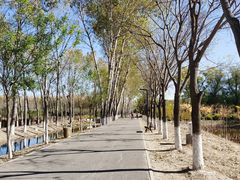 -东郊湿地公园