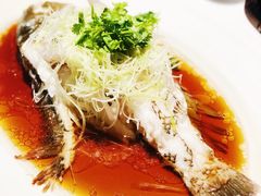 -岷江川菜馆