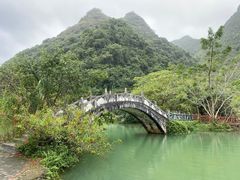 -靖西鹅泉风景区
