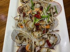 -俏东方·海味水饺·青岛菜(崂山店)