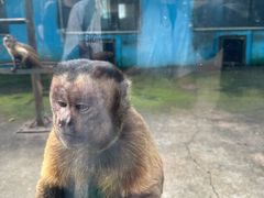 -秦皇岛野生动物园