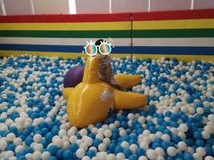 -萌太极儿童成长乐园(即墨宝龙广场店)