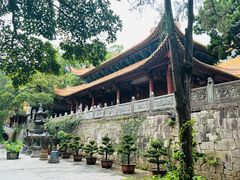 -普陀山风景名胜区-法雨禅寺