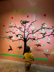 -酷嗒动物文化乐园(cutezoo西溪乐天城店)