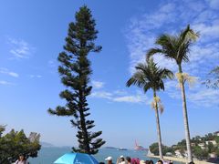 -鼓浪屿钢琴博物馆