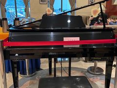 -上海安亭别墅花园酒店