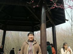 -南湖湿地公园
