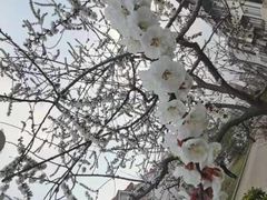 -彤德莱火锅(大学城店)
