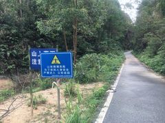-红山村
