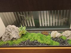-大妙火锅·非物质文化遗产(东湖公园店)