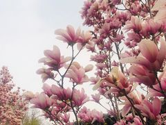 -丰台花园