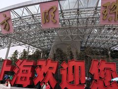 -东方明珠广播电视塔